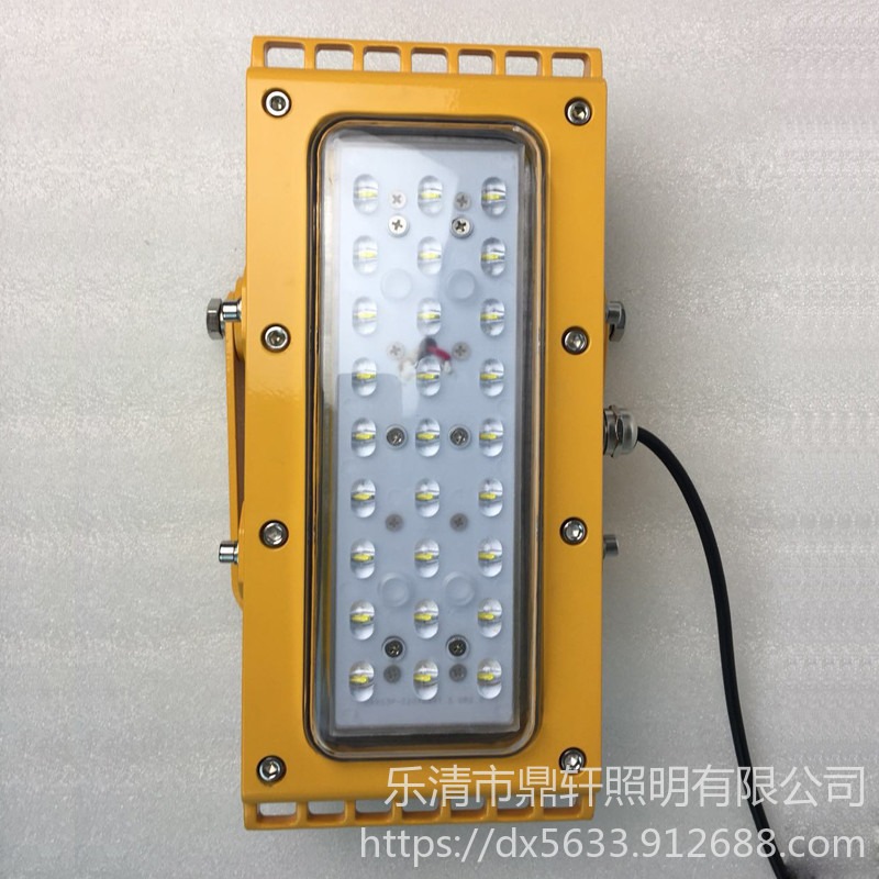 LED防爆灯BFC6253大功率模组灯具200W/300W壁挂式鼎轩照明图片