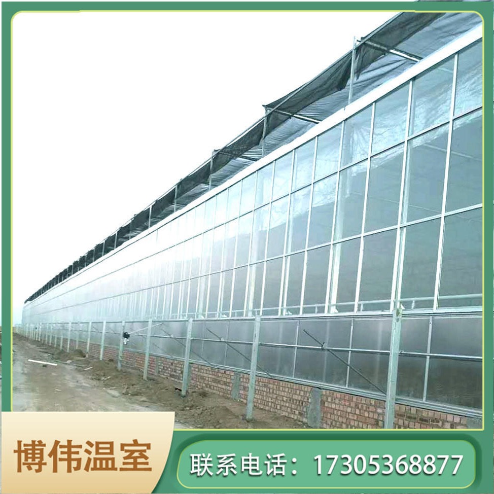 博伟 玻璃温室大棚厂家 玻璃大棚 蔬菜育苗温室大棚厂家