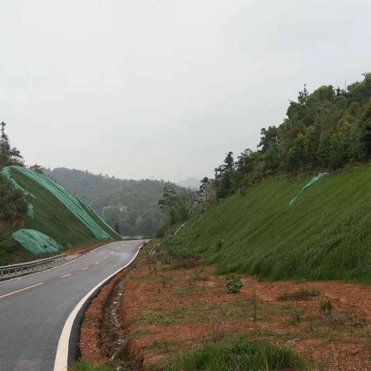 山东临沂高速路两侧加筋绿化三维网垫 护土长草植被网 EM3植被网 路易达规格齐全  