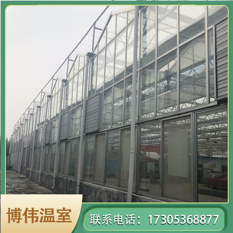 蔬菜玻璃温室造价 温室立体大棚 纹络玻璃温室价格 博伟 BW