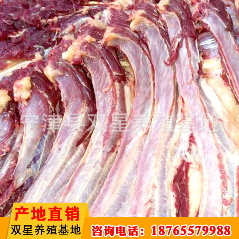 批发供应蒙古马鲜马肉 活马屠宰新鲜营养肋条肉 肉质鲜美进口马肉示例图19