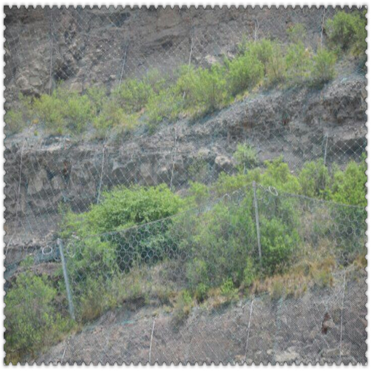安全防护网 高速公路边坡防护网 钢丝绳防护网 山体滑坡防护网示例图2