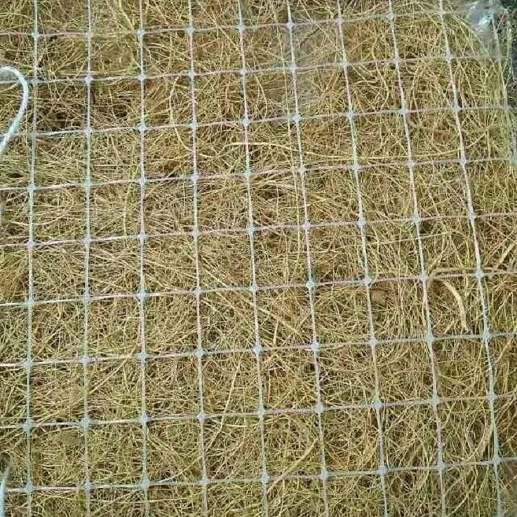 草籽加筋生态毯-吉林厂家批发零售鼎诺草籽毯图片