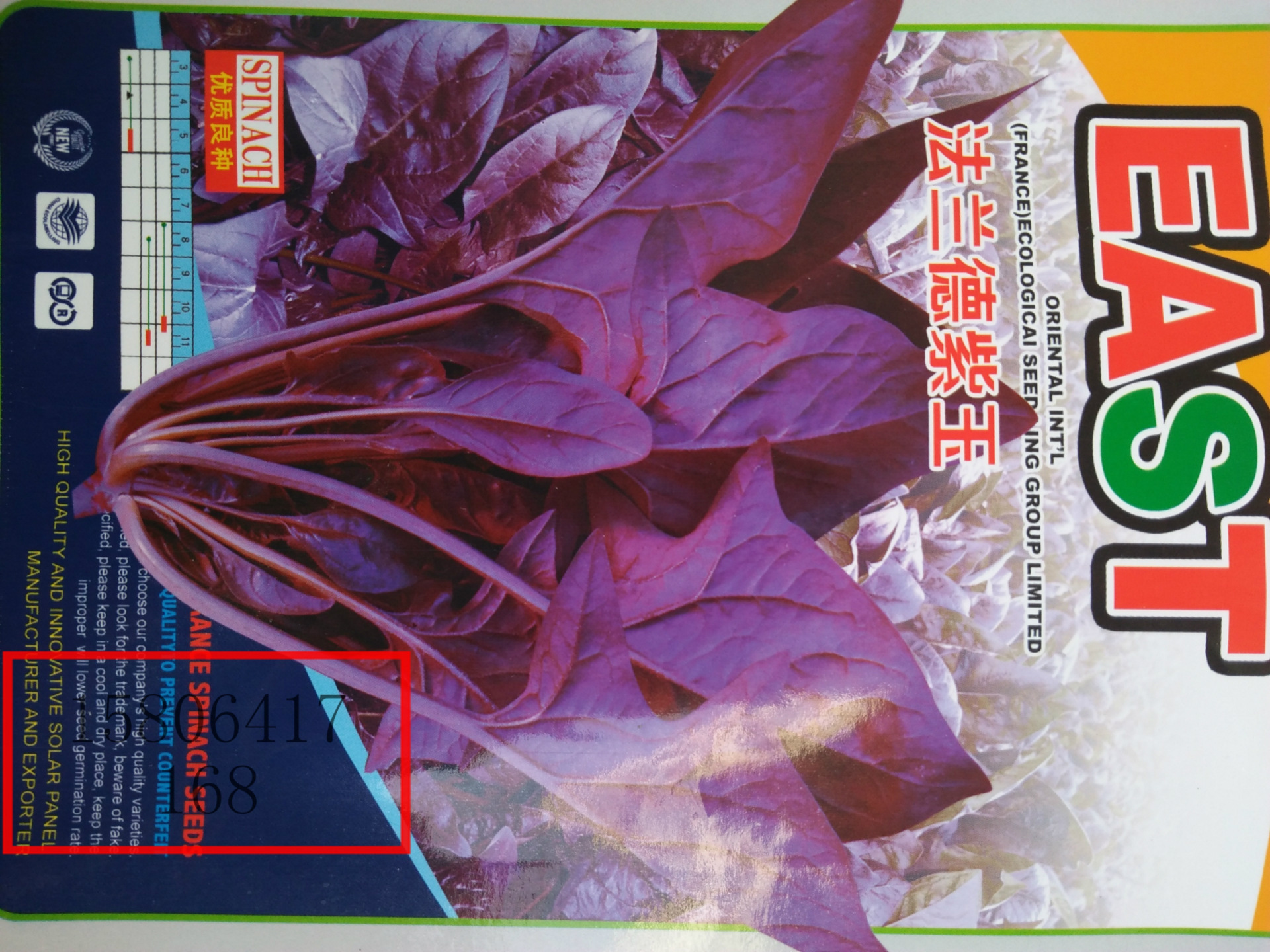 紫色菠菜种子 观赏营养蔬菜之佳品 济南蔬菜种子新品种