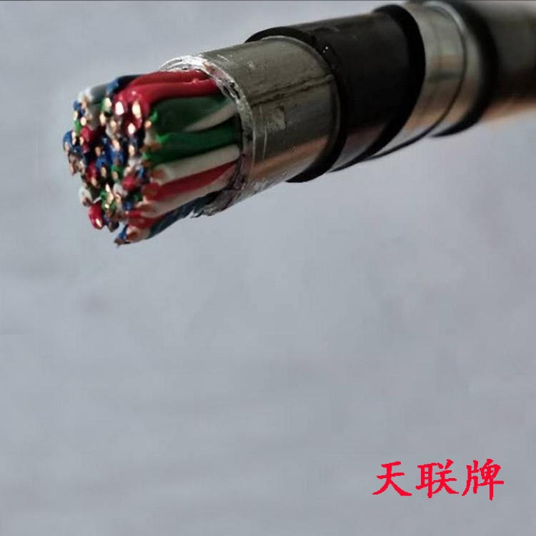 PVV控制电缆信号电缆 天联牌 PTYL23铝护套信号电缆 16芯铁路信号电缆PTYL23