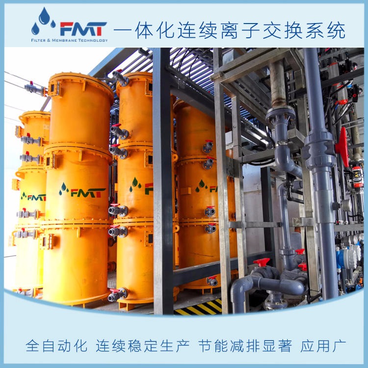 FMT-Sep-01连续离子交换设备,厦门福美科技厂家定制,全自动化,连续生产,树脂用量少,产品纯度高