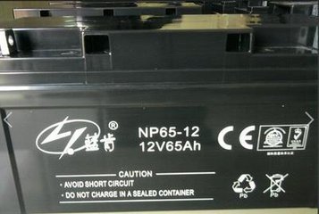 蓝肯蓄电池NP200-12/12V200AH/UPS电源 EPS电源 直流屏太阳能电瓶示例图1