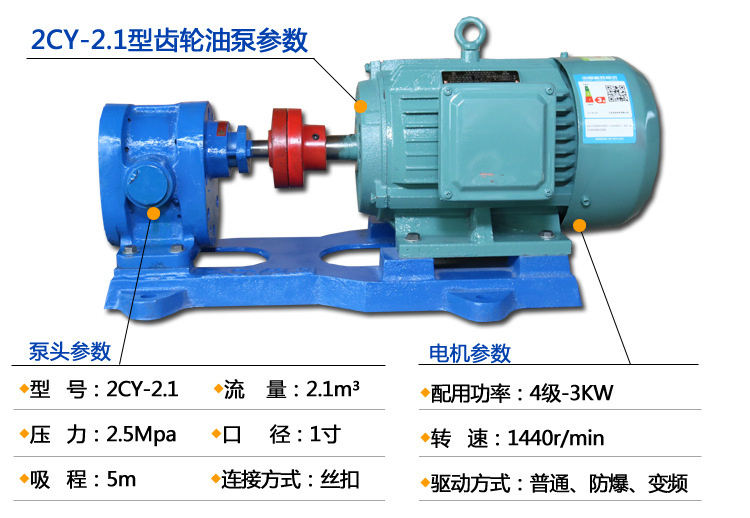 厂家供应 2CY-2.1型铸铁卧式高压齿轮泵 增压齿轮输油泵 现货批发示例图4