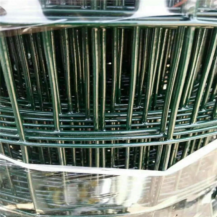 绿色浸塑养殖围栏网 圈地散养小鸡铁丝网围栏厂家图片