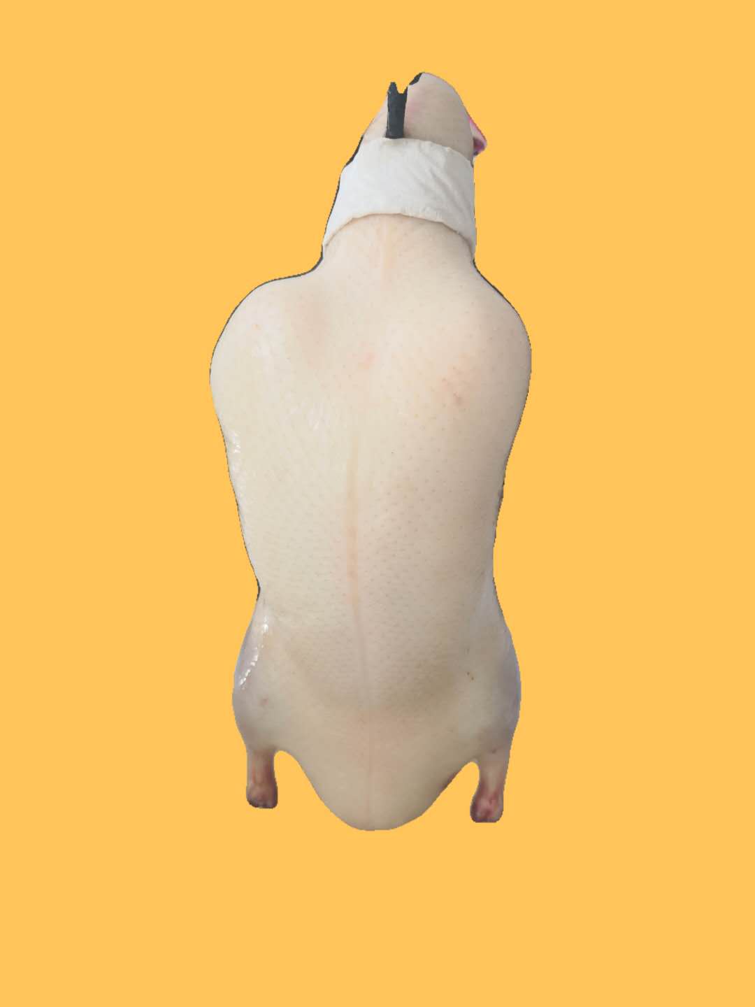 厂家直销四系冷冻鸭樱桃谷鸭胚质高价优色坯价格