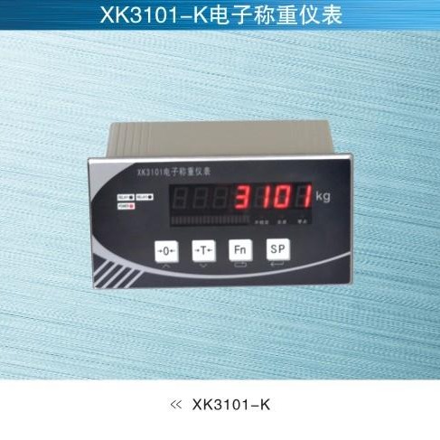 柯力XK3101称重仪表，柯力XK3101工控仪表，柯力称重显示器，宁波柯力电子秤