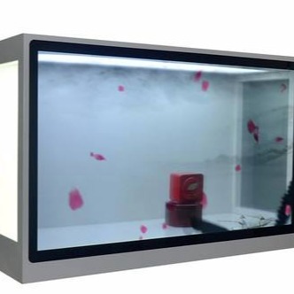 畅视达成都49寸透明橱窗展柜 展示专用展示屏 透明液晶屏屏幕透明柜csd-tmg