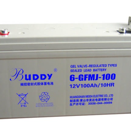 6-FM宝迪BUDDY蓄电池参数规格