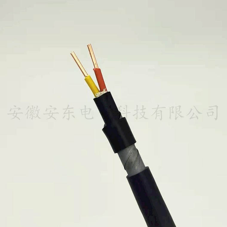 安东电缆  铠装电力电缆 ZR-VV22  2x2.5平方 低压聚氯乙烯绝缘 钢带铠装