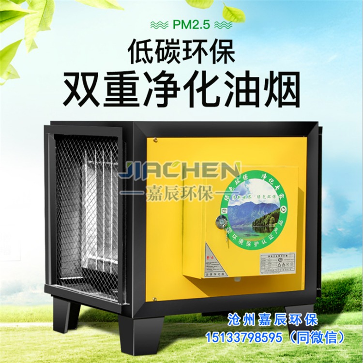 浙江湖州工业油烟净化器 厨房餐饮油烟净化器设备