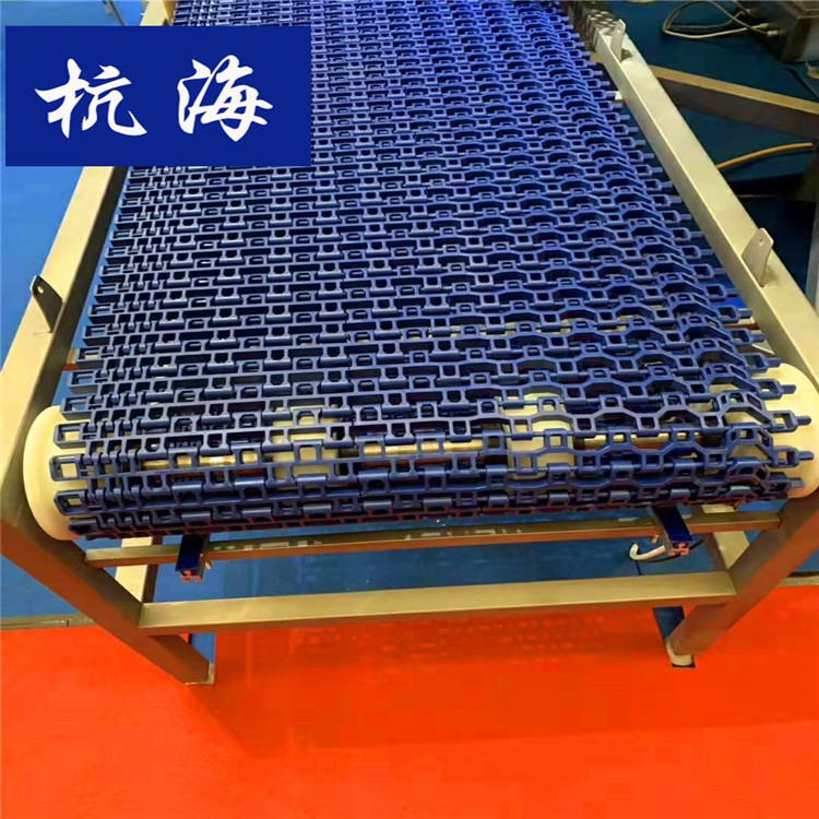 链板输送机 杭海机械 塑料链板输送机生产厂家 可定制