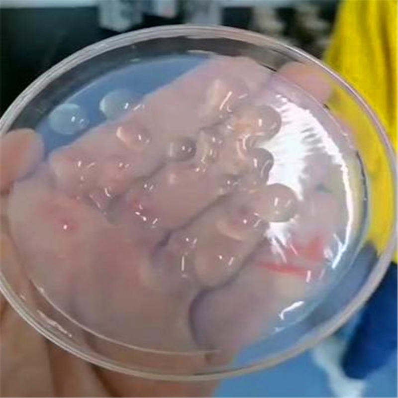胶冻样芽孢杆菌100亿        胶质芽孢杆菌生物有机肥      钾细菌      水溶型胶冻样  诺杰批发图片