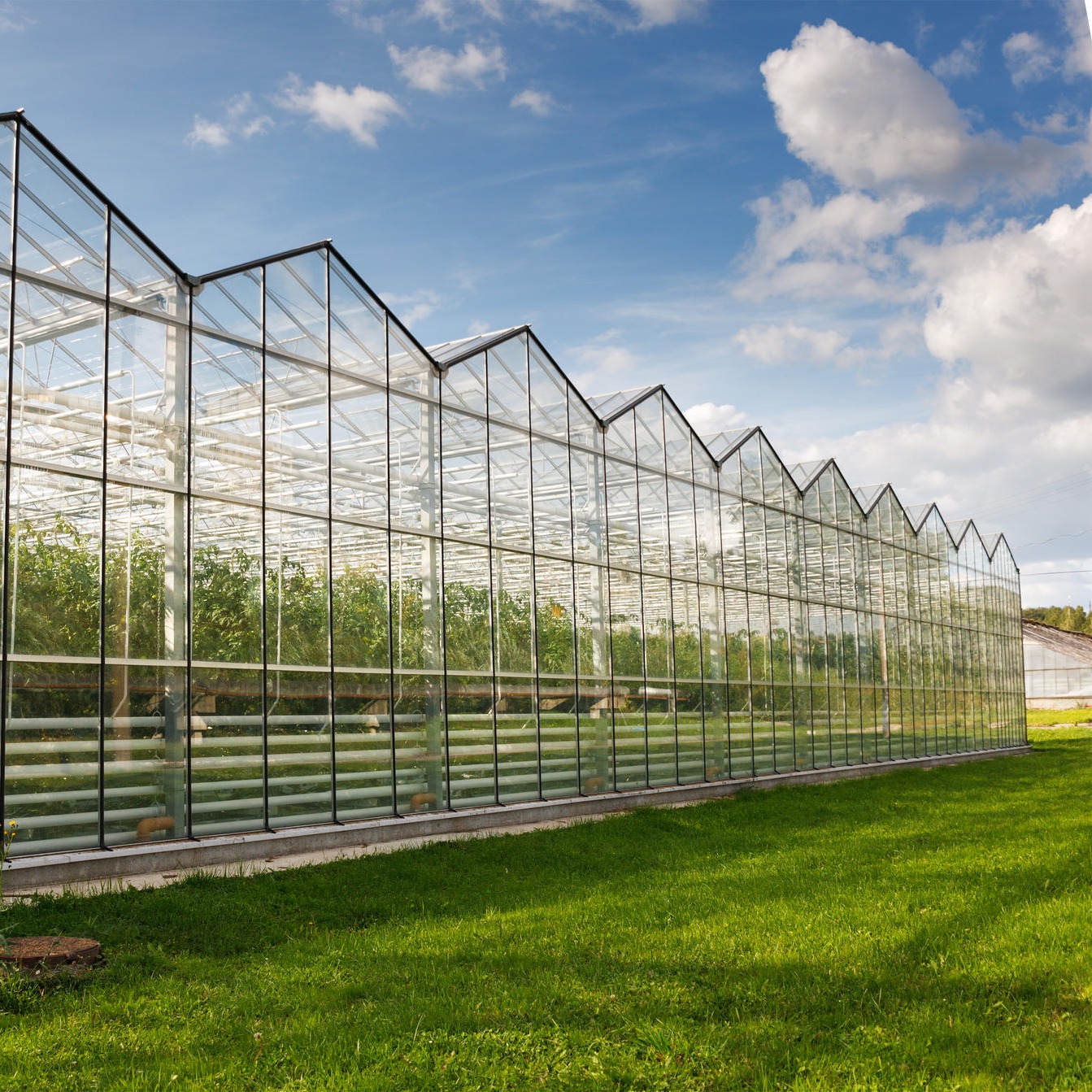博伟 玻璃温室 蔬菜玻璃温室 盆景玻璃大棚定制