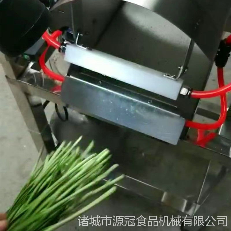 厂家直销清洗韭菜机 去韭菜机 脱韭菜皮机 加工韭菜清洗设备  无需水洗便于保存