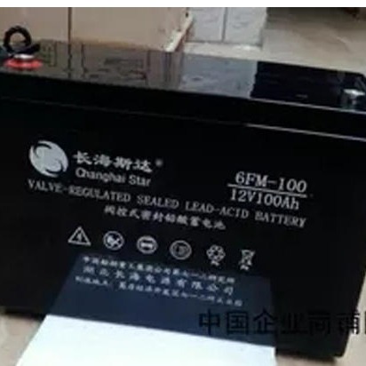 厂家直销长海斯达电池6FM100 长海斯达12V100AH
