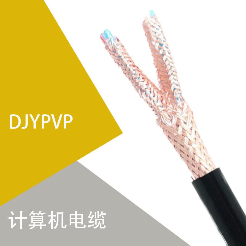 裸铜线阻燃计算机电缆 /屏蔽信号电缆ZR-DYJVP220.75铜芯电缆