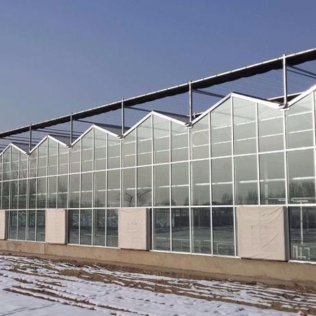 潍坊建达温室 玻璃温室 智能温室 生态餐厅 连栋温室 山东温室大棚造价
