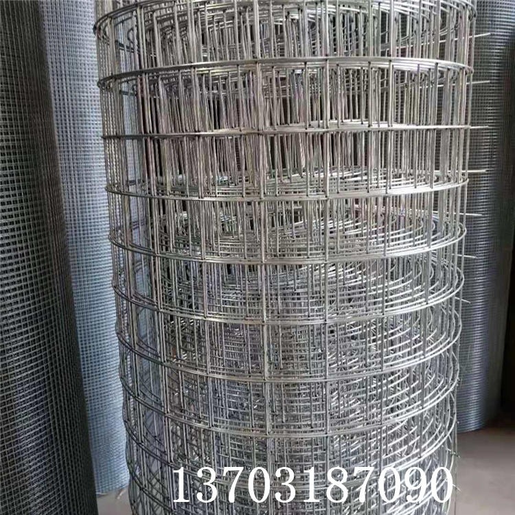 龙润丝网生产优质铁丝电焊网 钢丝电焊网 方孔网  诚信致远
