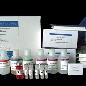 大鼠L-乳酸试剂盒 L-LAC试剂盒 L-乳酸ELISA试剂盒 上海卡迈舒免费代测图片