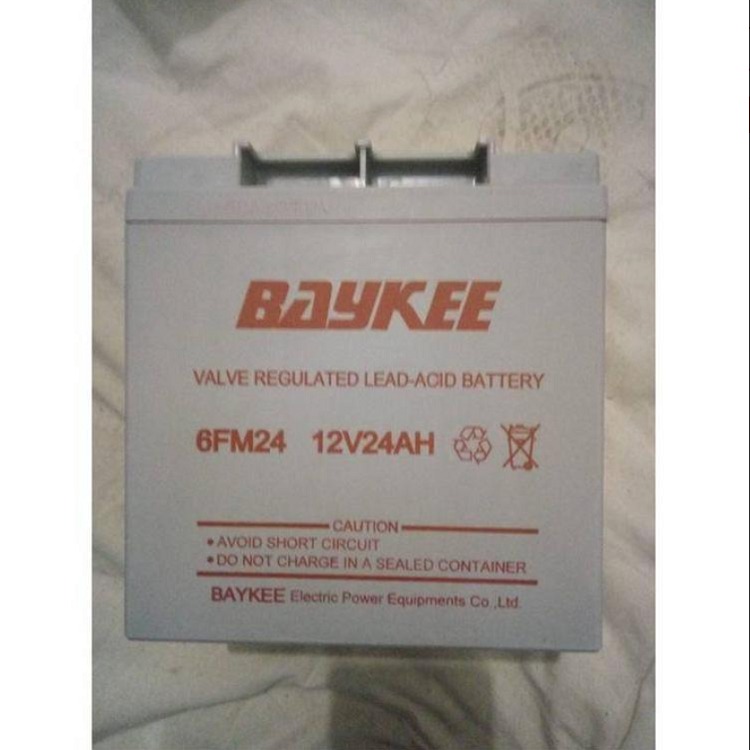 BAYKEE蓄电池6FM24/12V24AH 技术参数说明 酒店备用电池 储能电池