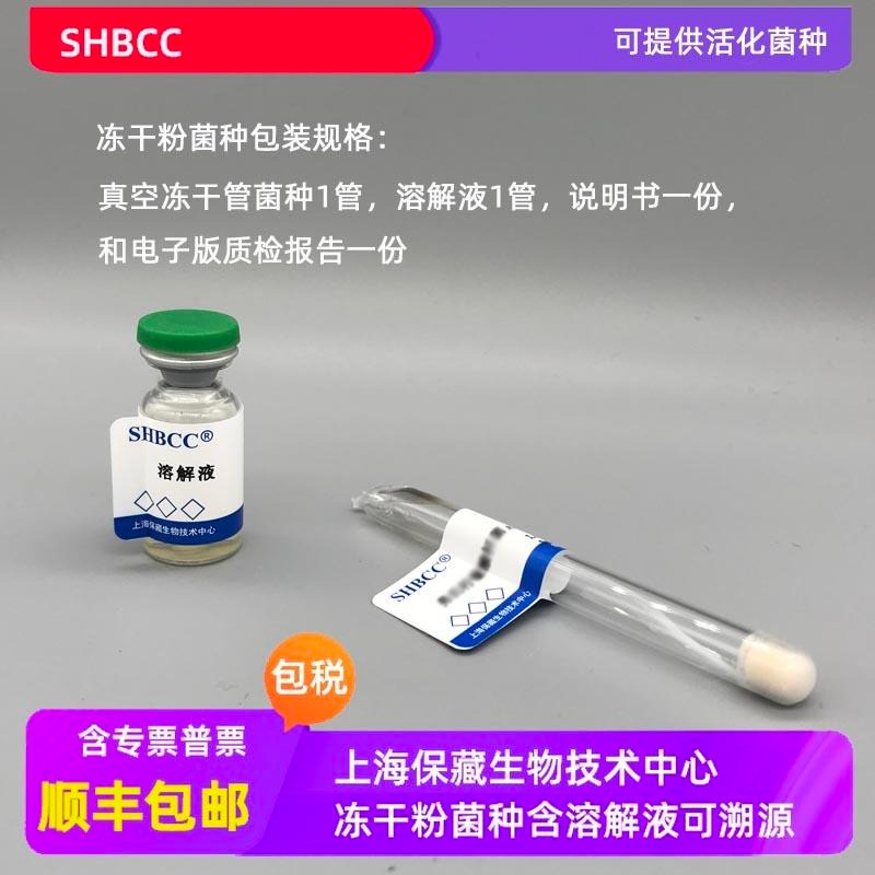 SHBCC 冻干粉 少动鞘氨醇单胞菌 ACCC01990 0代菌种 0代菌株 可定制 厂家直销 上海保藏中心