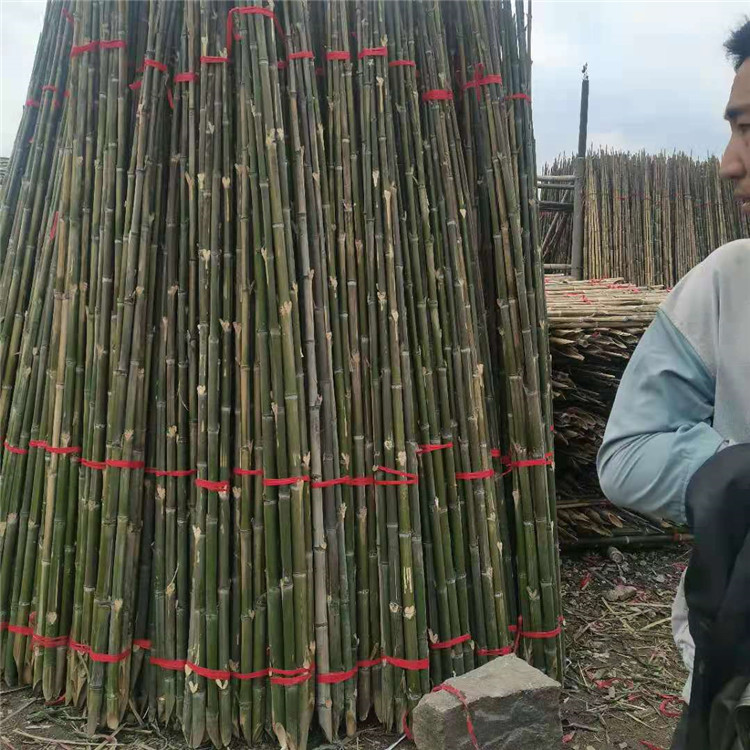 蔬菜大棚打桩用竹子 竹木三角支撑杆规格可定制