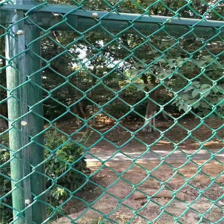 pvc包塑球场围网  杭州喷塑球场围网   篮球场围栏网生产厂家   迅鹰供应球场围网