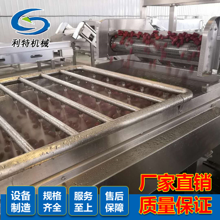 大枣清洗设备  红枣风选生产线  酥脆枣清洗机  全国出售
