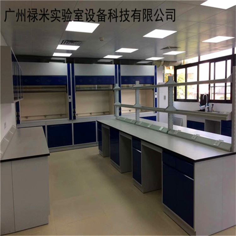 禄米 实验室环保系统工程实验室清洁系统设备厂家量身定制