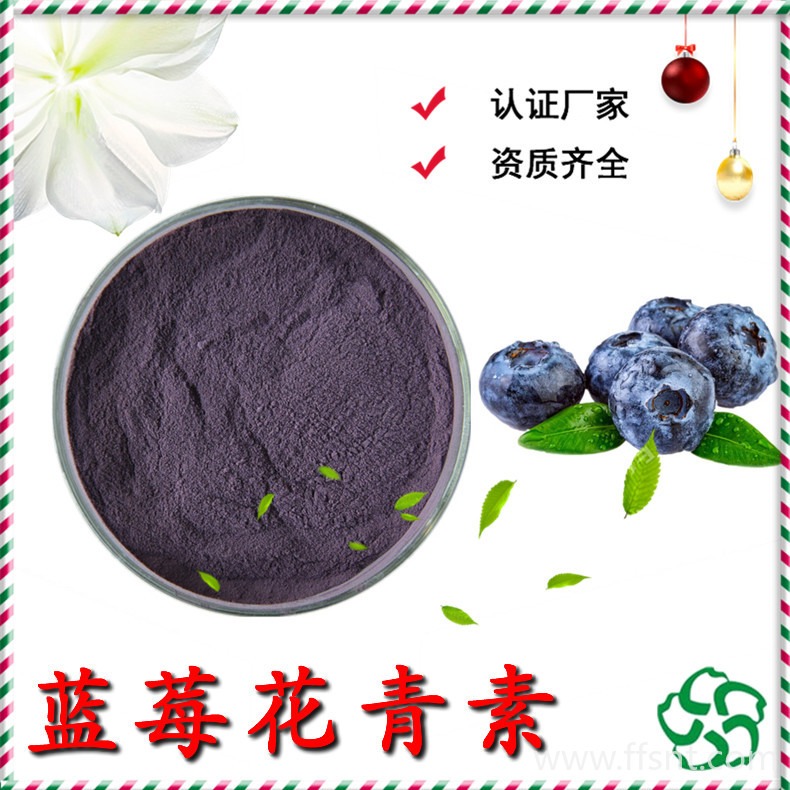 蓝莓花青素 25%蓝莓花青素 蓝莓提取物 蓝莓果粉 质量稳定