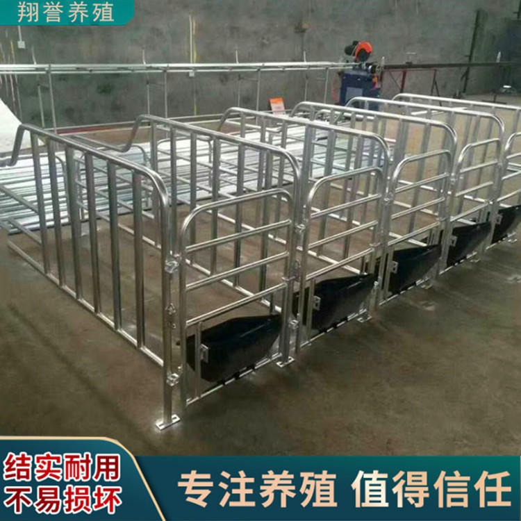 养猪设备 定位栏保育床 厂家直销猪场设备 翔誉
