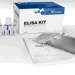 试剂盒 大鼠免疫球蛋白M试剂盒 IgM试剂盒 ELISA试剂盒 慧嘉生物