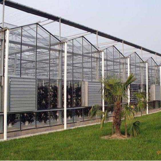 青州鑫泽厂家直销 玻璃温室 玻璃温室主体材料  智能玻璃连栋承建图片