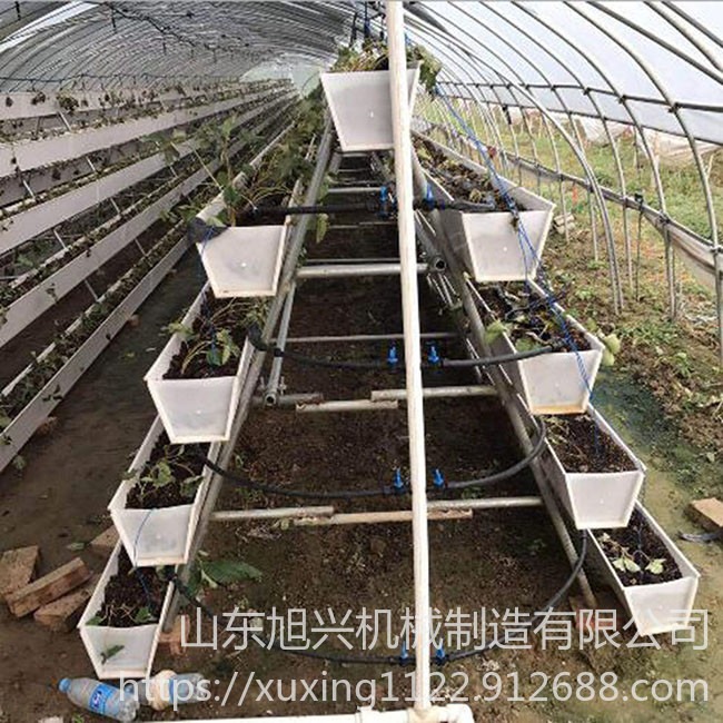 旭兴草莓立体种植架价格,草莓立体种植架用途,农业机械