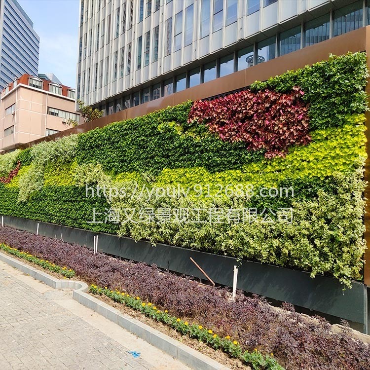 又绿室外植物墙工程专业施工