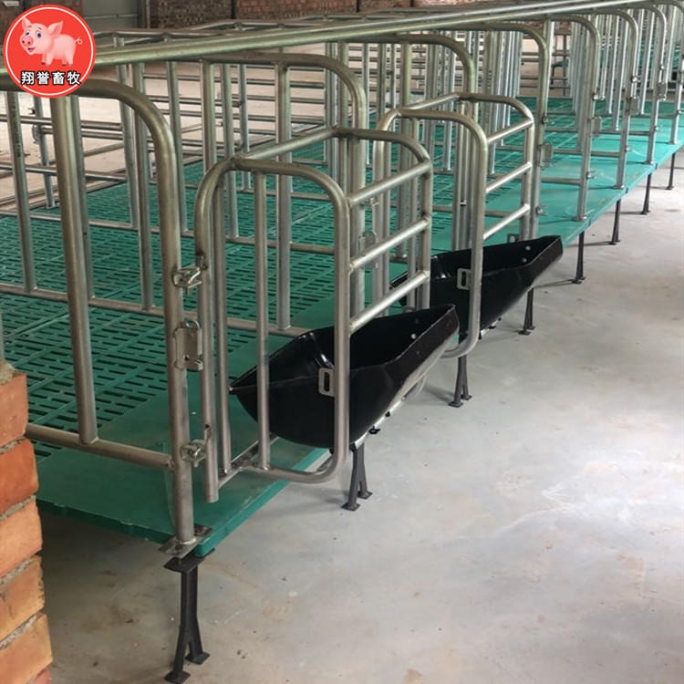 养猪场限位栏 母猪产床定位栏猪用 复合漏粪板定位栏 翔誉