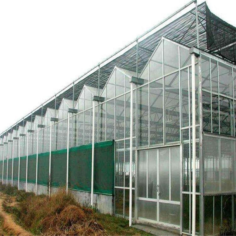鑫泽玻璃温室厂家 专业设计安装 玻璃智能温室大棚 大棚配件批发零售