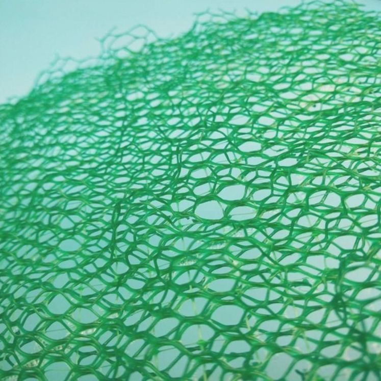 宜昌塑料三维土工网垫厂家施工 巨匠规格定制土工网垫图片