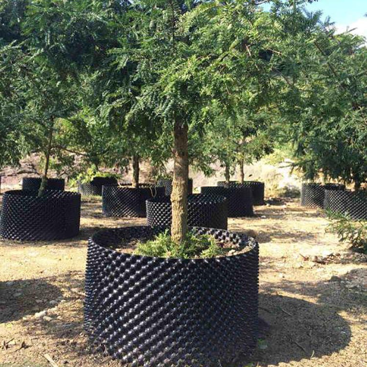 围植苗控根器 新材料加厚控根器 黑色塑料围树板 一匡 生产价格