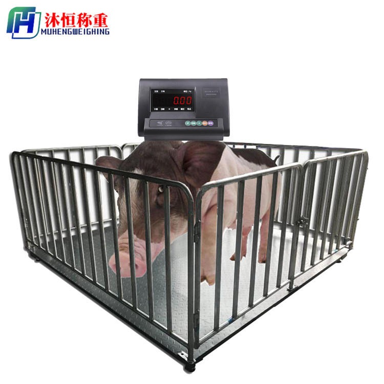 毕节3吨电子地磅销售 称猪带护栏电子磅 1.5米x3米2000kg围栏秤