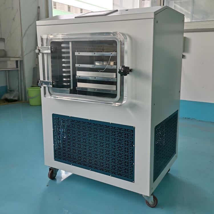 LGJ-30FD中式冻干机 0.4平方中式冻干机 虫草冷冻干燥机图片
