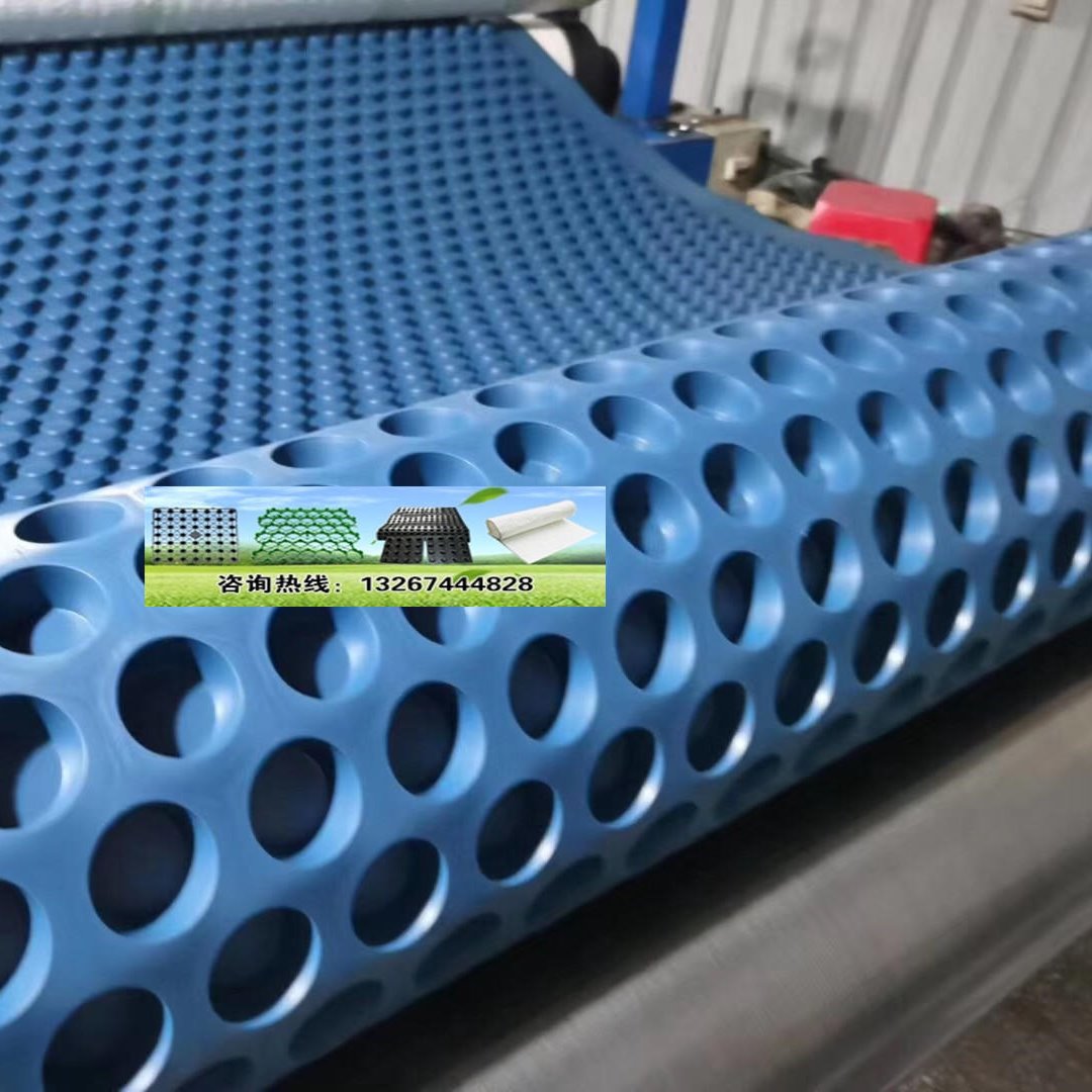 工厂直销排水板绿化建筑工程用滤水板屋顶量大从优疏水板