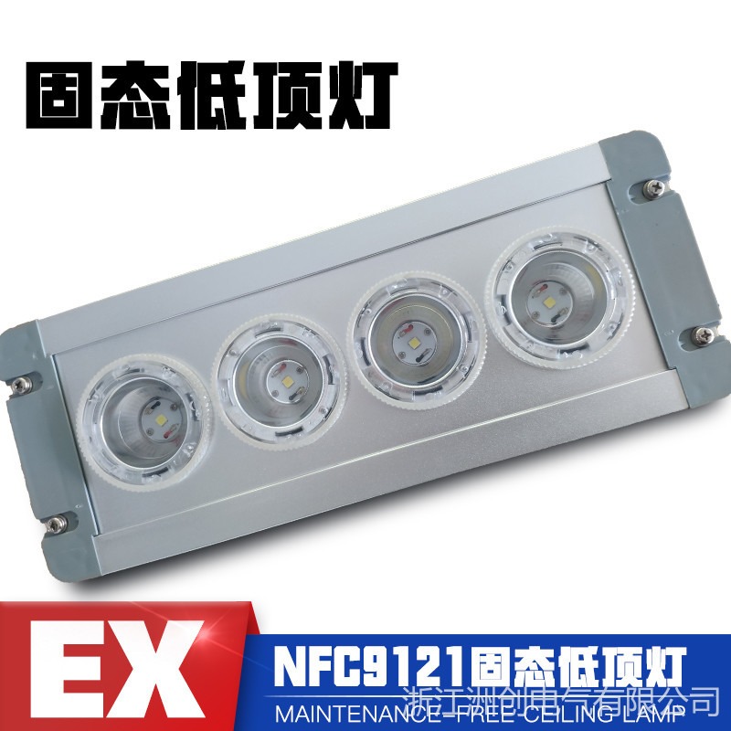 NFC9121嵌入式地沟灯 电厂配电隧道地铁照明灯  NFE9121LED应急低顶灯