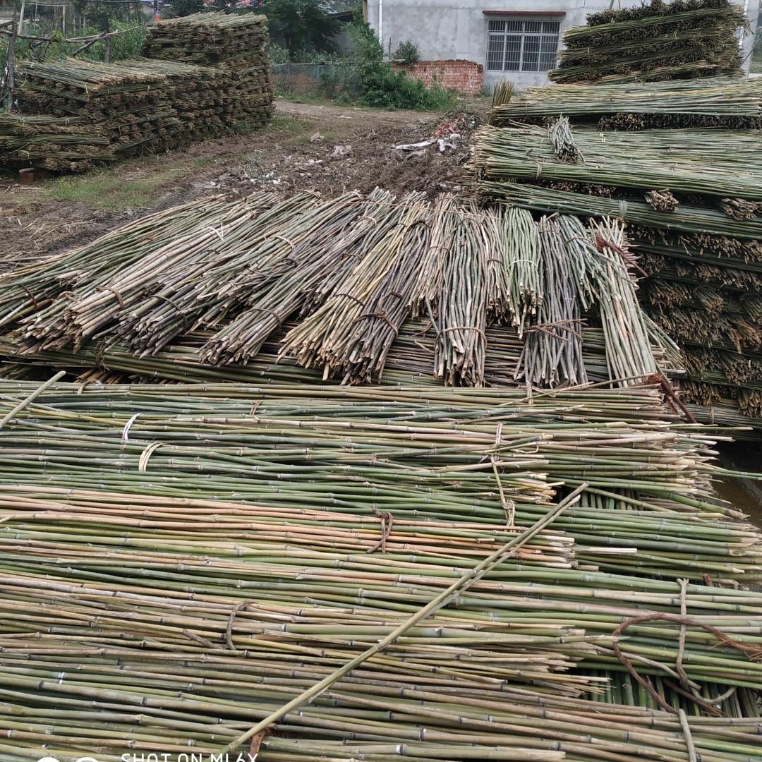 大量现货菜架竹  竹片 菜架竹子 各种规格产地批发供应图片