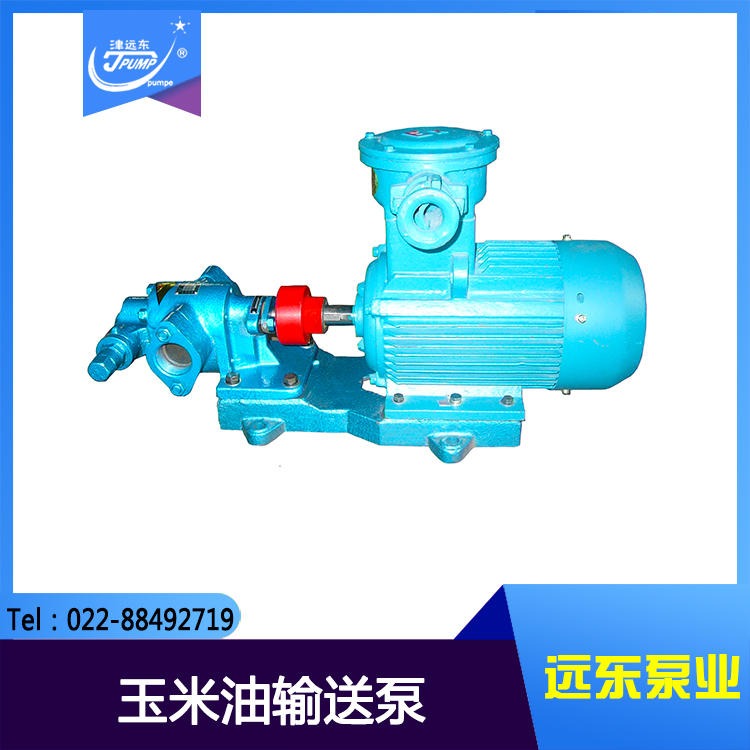 KCB83.3齿轮泵 玉米油输送泵 天津齿轮泵 远东齿轮泵